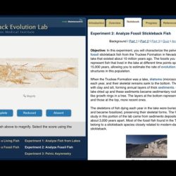 The virtual stickleback evolution lab