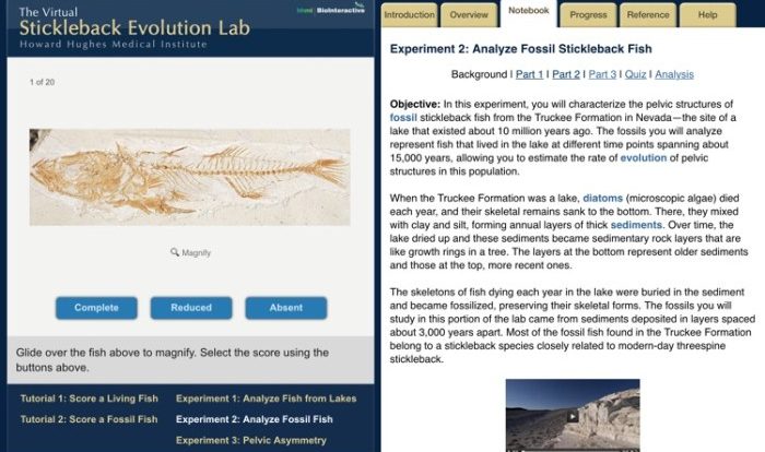 The virtual stickleback evolution lab