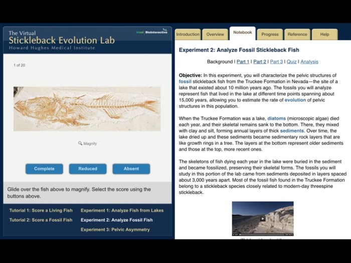 The virtual stickleback evolution lab