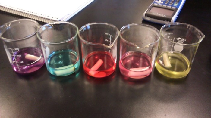 Diffusion and osmosis lab ap biology