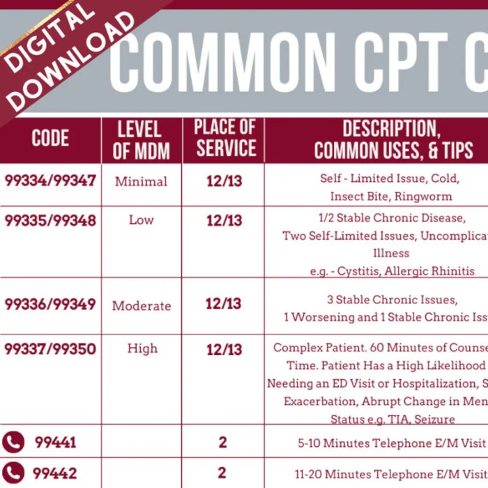 Repeat c section cpt code