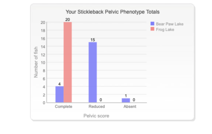 The virtual stickleback evolution lab