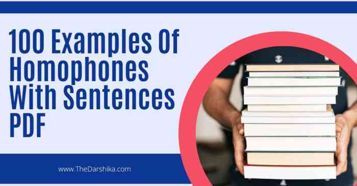 Which of the following sentences contains a homophone