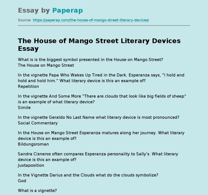 The house on mango street literary devices