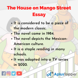 The house on mango street literary devices