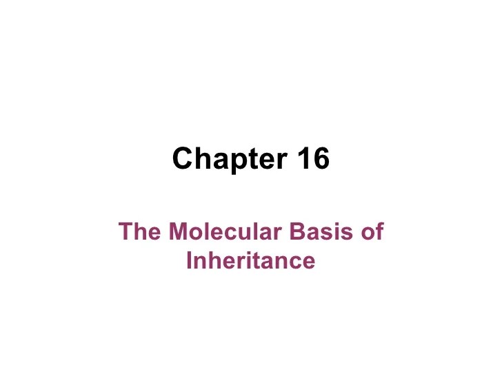 Chapter 16 the molecular basis of inheritance