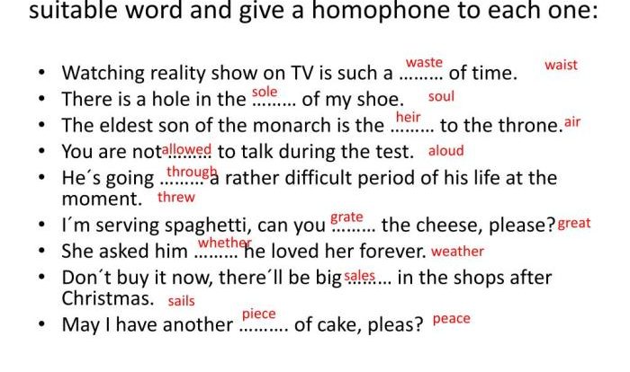 Which of the following sentences contains a homophone