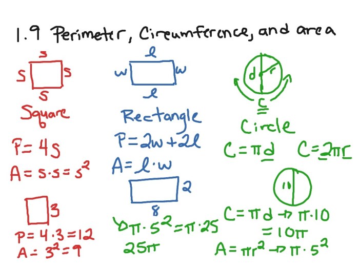 Module 9 circumference area and volume answer key