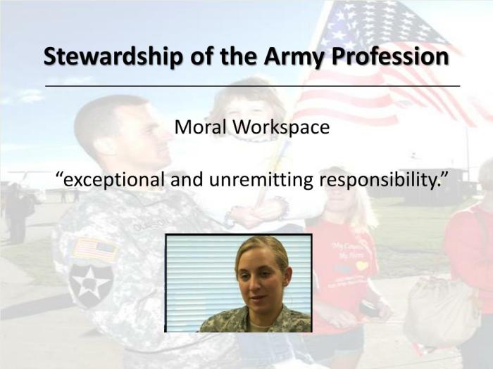 Stewards of the profession army essay