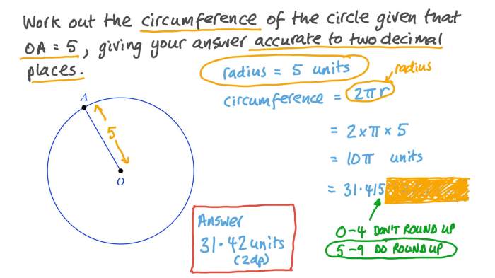 Module 9 circumference area and volume answer key